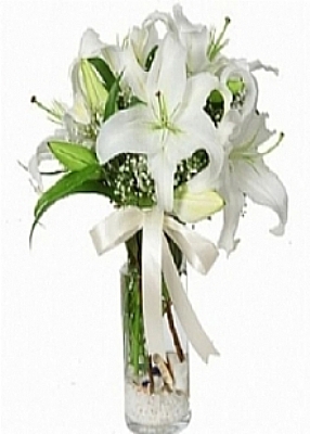 cam vazoda beyaz lilyumlar